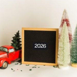 2026 12 Day Elf Kit - Multiple Elf Kit Pre-Order
